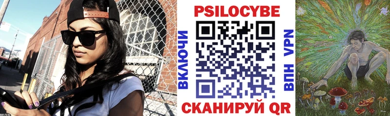 Псилоцибиновые грибы Psilocybe Октябрьский