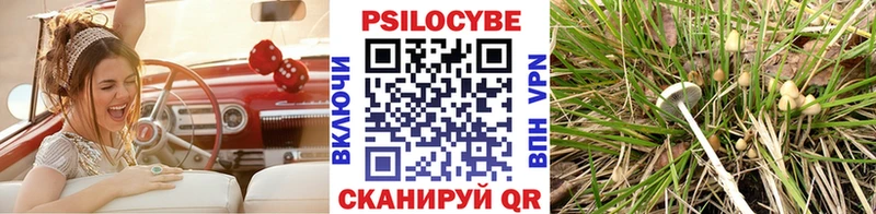Псилоцибиновые грибы Magic Shrooms  Октябрьский 