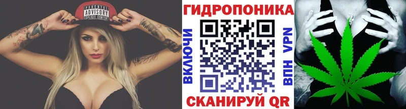 Шишки марихуана White Widow  Октябрьский 